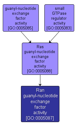 GO:0005087 - Ran guanyl-nucleotide exchange factor activity (interactive image map)