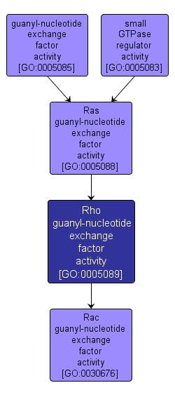 GO:0005089 - Rho guanyl-nucleotide exchange factor activity (interactive image map)