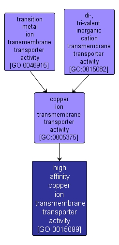 GO:0015089 - high affinity copper ion transmembrane transporter activity (interactive image map)