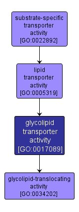 GO:0017089 - glycolipid transporter activity (interactive image map)