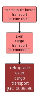 GO:0008090 - retrograde axon cargo transport (interactive image map)