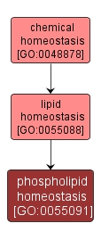GO:0055091 - phospholipid homeostasis (interactive image map)