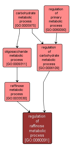 GO:0080091 - regulation of raffinose metabolic process (interactive image map)