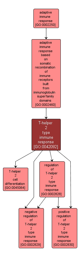 GO:0042092 - T-helper 2 type immune response (interactive image map)