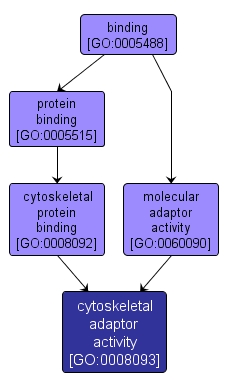GO:0008093 - cytoskeletal adaptor activity (interactive image map)