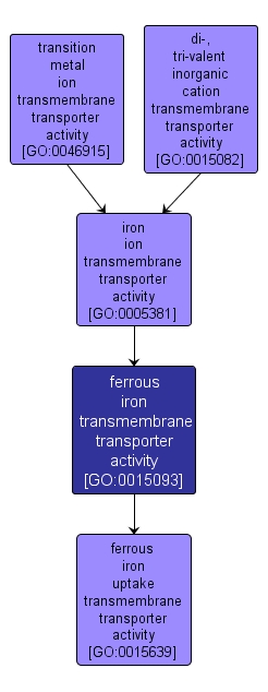 GO:0015093 - ferrous iron transmembrane transporter activity (interactive image map)