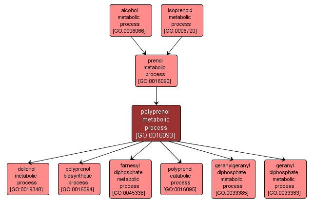 GO:0016093 - polyprenol metabolic process (interactive image map)