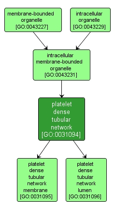 GO:0031094 - platelet dense tubular network (interactive image map)