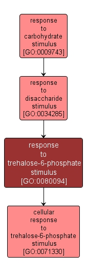 GO:0080094 - response to trehalose-6-phosphate stimulus (interactive image map)