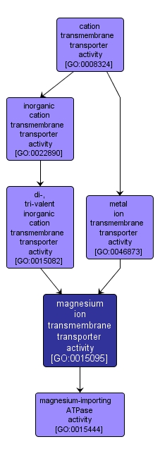 GO:0015095 - magnesium ion transmembrane transporter activity (interactive image map)