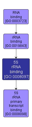 GO:0008097 - 5S rRNA binding (interactive image map)