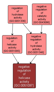 GO:0051097 - negative regulation of helicase activity (interactive image map)