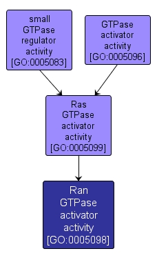 GO:0005098 - Ran GTPase activator activity (interactive image map)