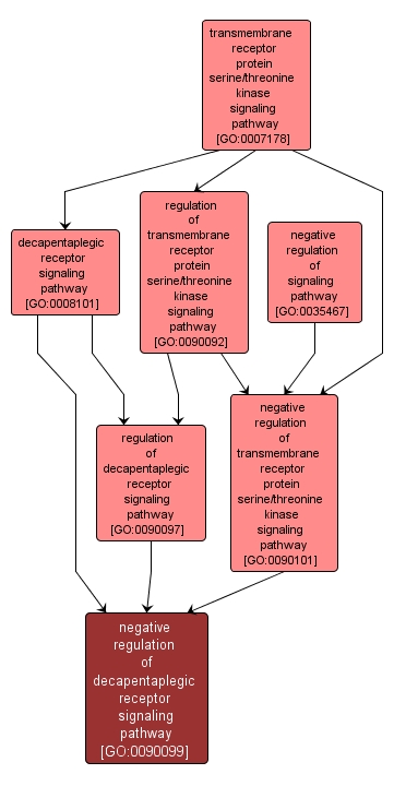 GO:0090099 - negative regulation of decapentaplegic receptor signaling pathway (interactive image map)