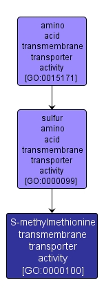 GO:0000100 - S-methylmethionine transmembrane transporter activity (interactive image map)