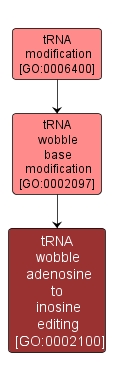 GO:0002100 - tRNA wobble adenosine to inosine editing (interactive image map)