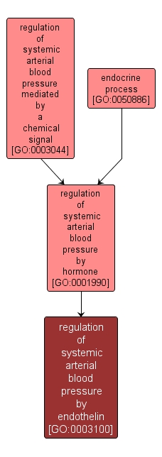GO:0003100 - regulation of systemic arterial blood pressure by endothelin (interactive image map)