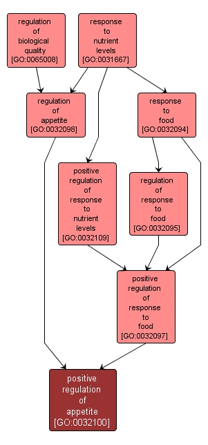 GO:0032100 - positive regulation of appetite (interactive image map)