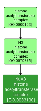 GO:0033100 - NuA3 histone acetyltransferase complex (interactive image map)