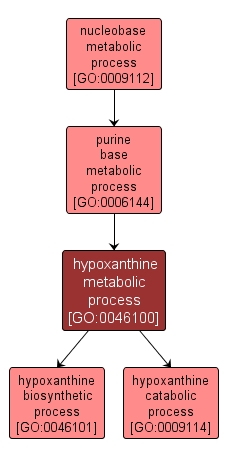 GO:0046100 - hypoxanthine metabolic process (interactive image map)