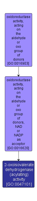 GO:0047101 - 2-oxoisovalerate dehydrogenase (acylating) activity (interactive image map)