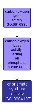 GO:0004107 - chorismate synthase activity (interactive image map)