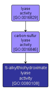GO:0080108 - S-alkylthiohydroximate lyase activity (interactive image map)