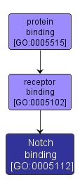 GO:0005112 - Notch binding (interactive image map)