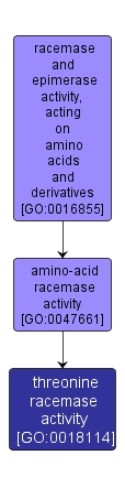 GO:0018114 - threonine racemase activity (interactive image map)
