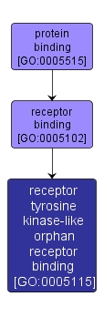 GO:0005115 - receptor tyrosine kinase-like orphan receptor binding (interactive image map)
