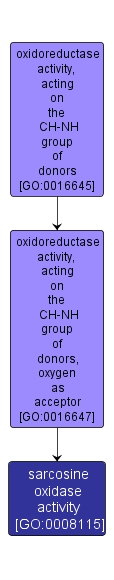 GO:0008115 - sarcosine oxidase activity (interactive image map)
