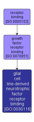 GO:0030116 - glial cell line-derived neurotrophic factor receptor binding (interactive image map)