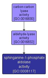 GO:0008117 - sphinganine-1-phosphate aldolase activity (interactive image map)