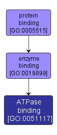 GO:0051117 - ATPase binding (interactive image map)