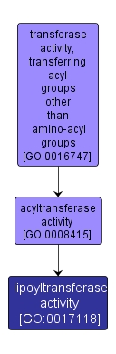 GO:0017118 - lipoyltransferase activity (interactive image map)