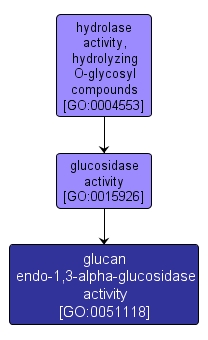 GO:0051118 - glucan endo-1,3-alpha-glucosidase activity (interactive image map)
