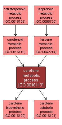 GO:0016119 - carotene metabolic process (interactive image map)