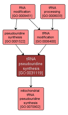 GO:0031119 - tRNA pseudouridine synthesis (interactive image map)