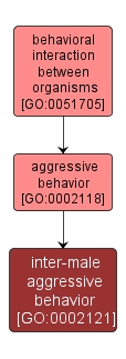 GO:0002121 - inter-male aggressive behavior (interactive image map)