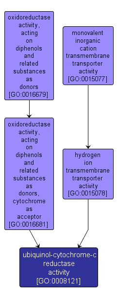 GO:0008121 - ubiquinol-cytochrome-c reductase activity (interactive image map)