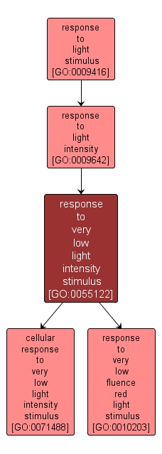 GO:0055122 - response to very low light intensity stimulus (interactive image map)