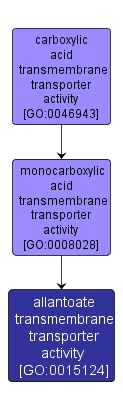 GO:0015124 - allantoate transmembrane transporter activity (interactive image map)
