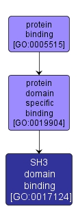 GO:0017124 - SH3 domain binding (interactive image map)
