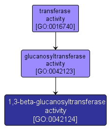 GO:0042124 - 1,3-beta-glucanosyltransferase activity (interactive image map)
