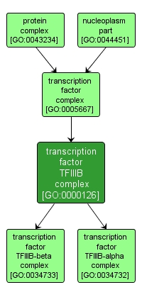 GO:0000126 - transcription factor TFIIIB complex (interactive image map)