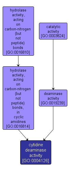 GO:0004126 - cytidine deaminase activity (interactive image map)