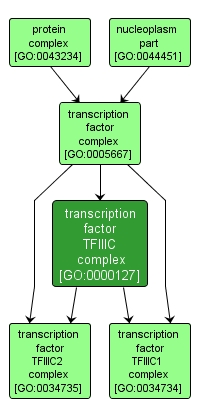 GO:0000127 - transcription factor TFIIIC complex (interactive image map)