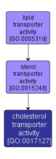 GO:0017127 - cholesterol transporter activity (interactive image map)