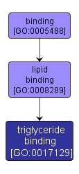 GO:0017129 - triglyceride binding (interactive image map)