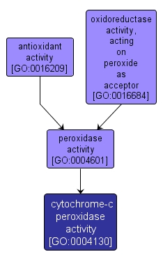 GO:0004130 - cytochrome-c peroxidase activity (interactive image map)